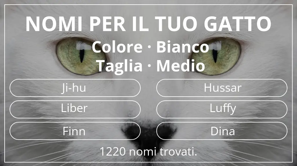 Nomi per gatti basati su colore bianco e taglia medio