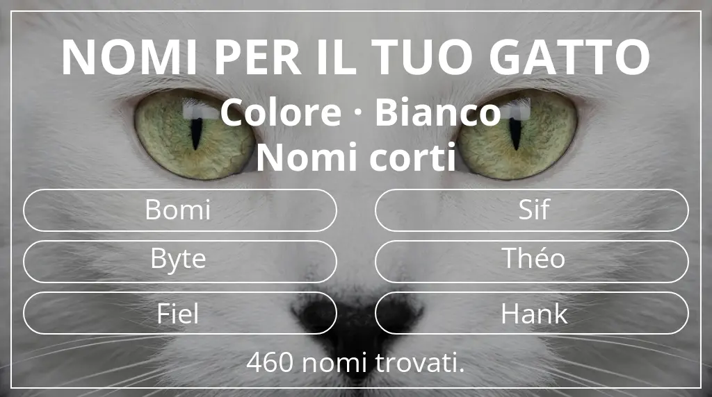 Nomi per il tuo gatto basati su colore bianco e lunghezza del nome breve (2–4)