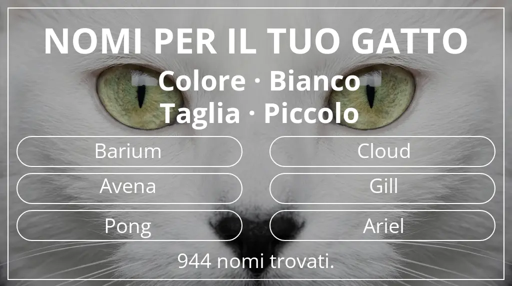 Nomi felini basati su colore bianco e taglia piccolo