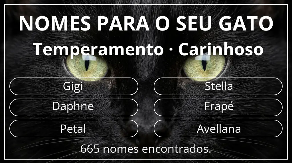 Nomes de gatos baseados em temperamento carinhoso