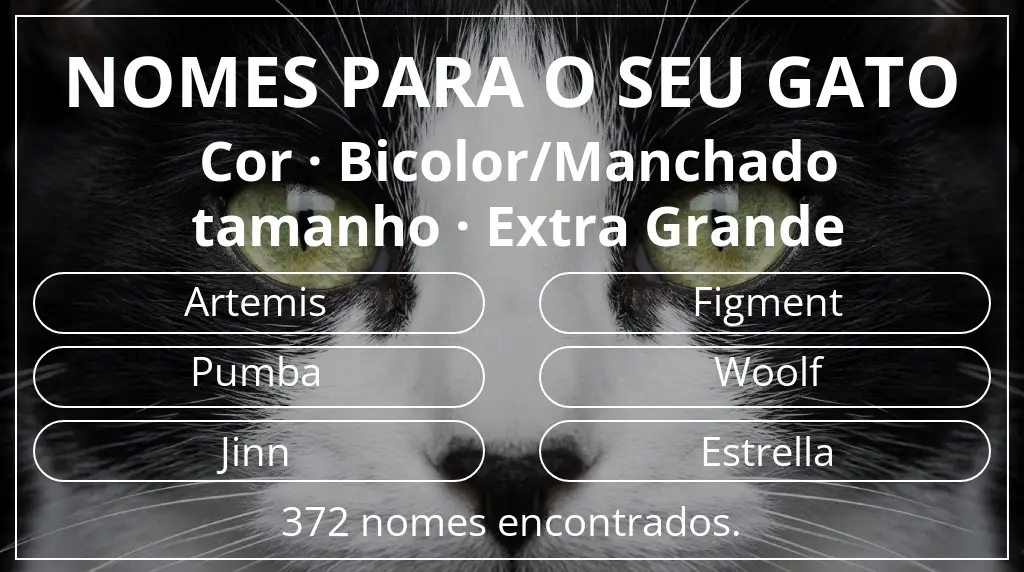 Nomes de gatos baseados em cor bicolor/manchado e tamanho extra grande