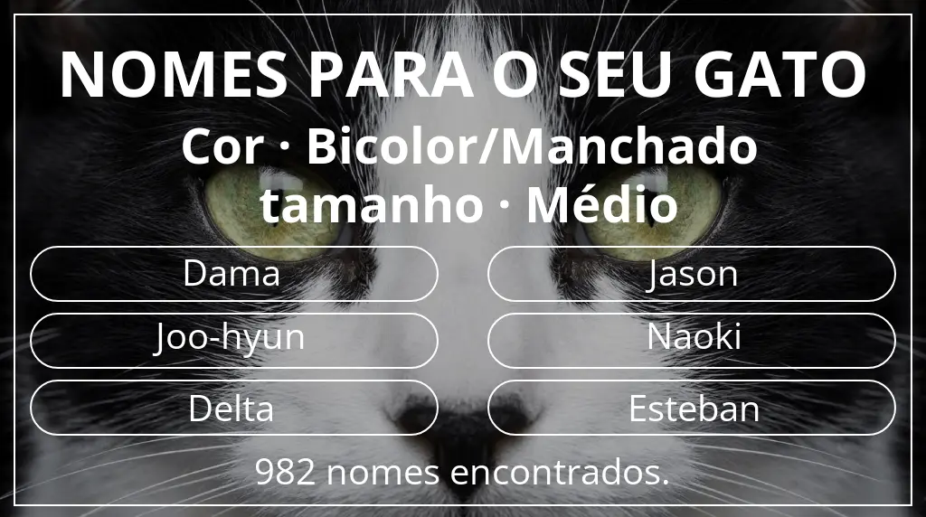 Nomes de gatos relacionados com cor bicolor/manchado e tamanho médio