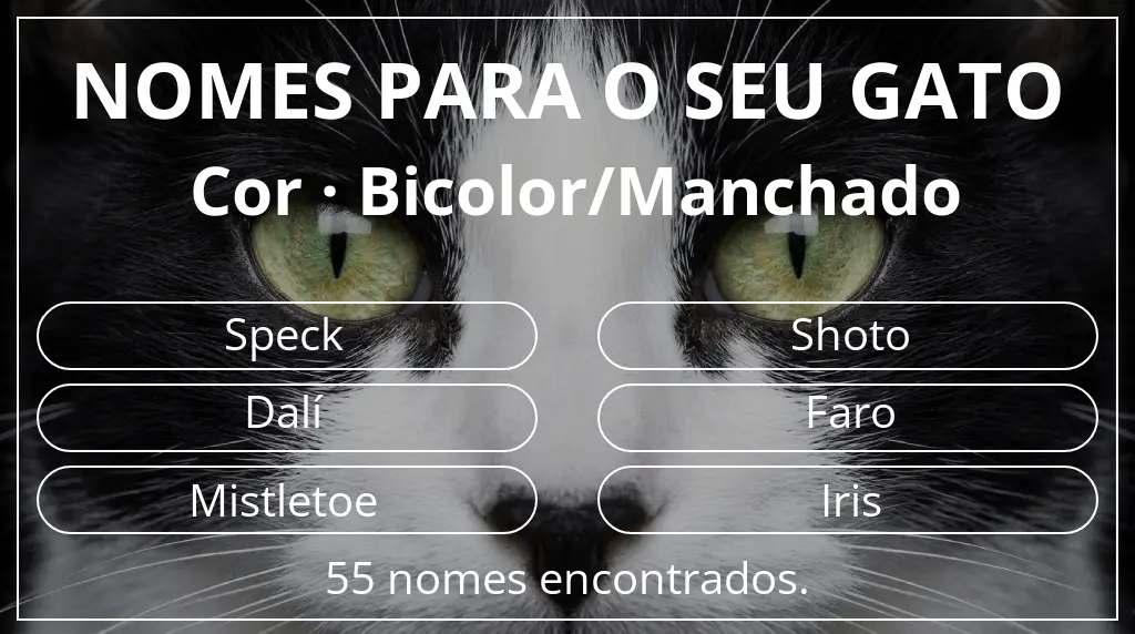 Nomes para gatos baseados em cor bicolor/manchado