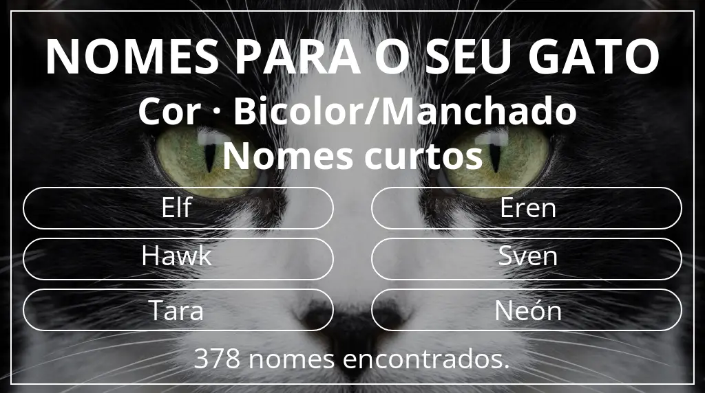 Nomes para gatos relacionados com cor bicolor/manchado e comprimento do nome curto (2–4)