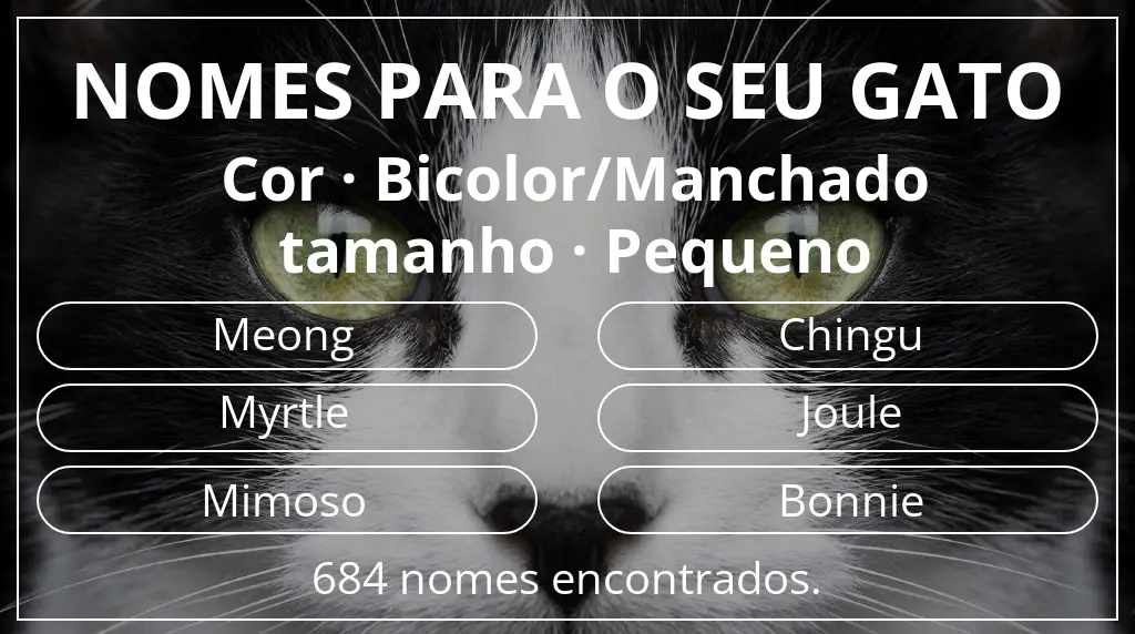 Nomes para gatos baseados em cor bicolor/manchado e tamanho pequeno