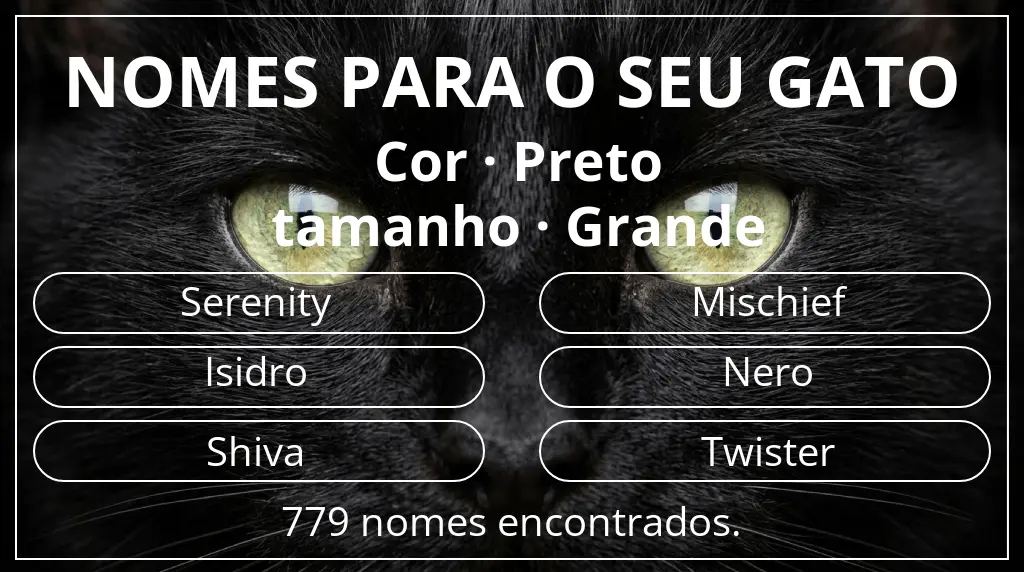 Nomes para gatos baseados em cor preto e tamanho grande