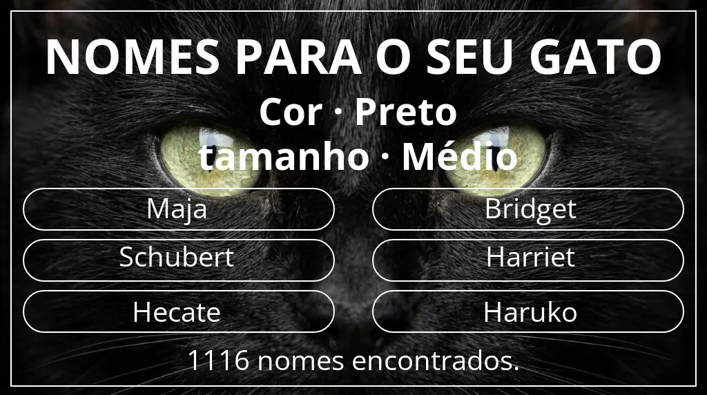 Nomes para gatos relacionados com cor preto e tamanho médio