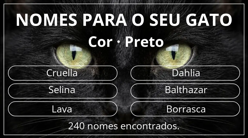 Nomes para gatos baseados em cor preto