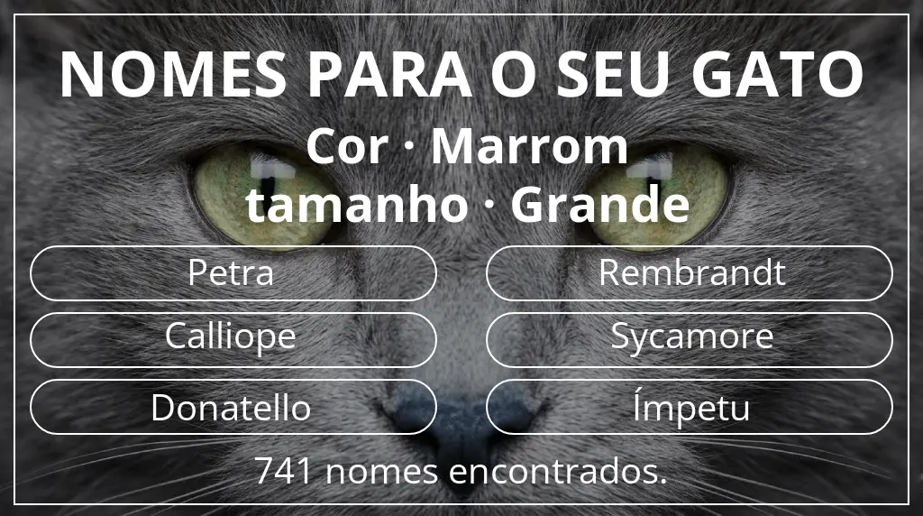 Nomes de gatos baseados em cor marrom e tamanho grande