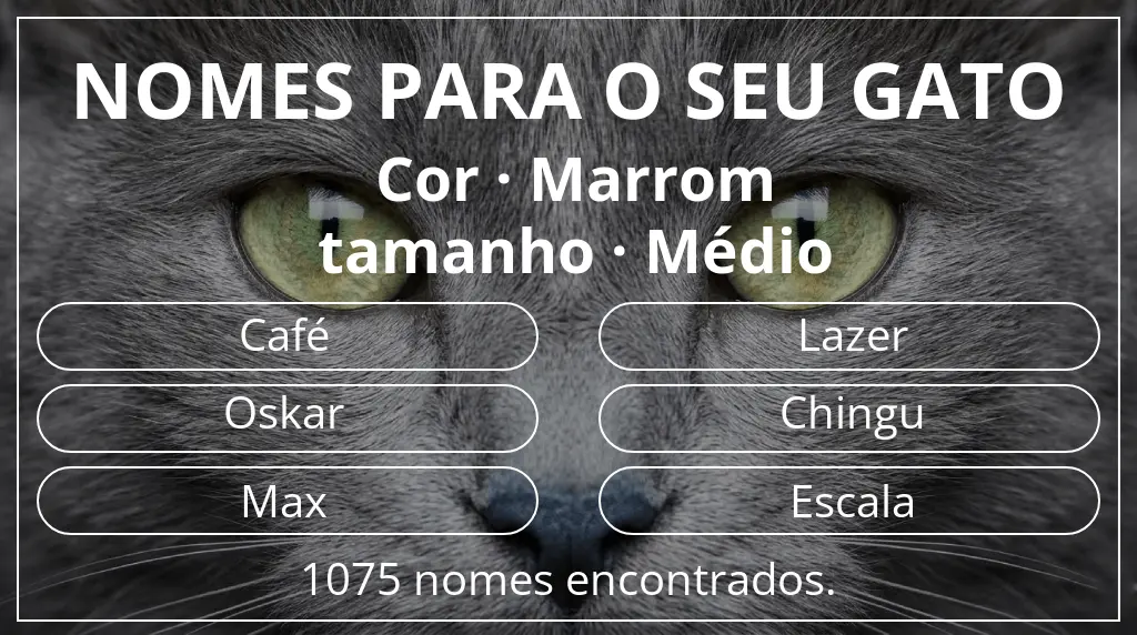 Nomes de gatos baseados em cor marrom e tamanho médio