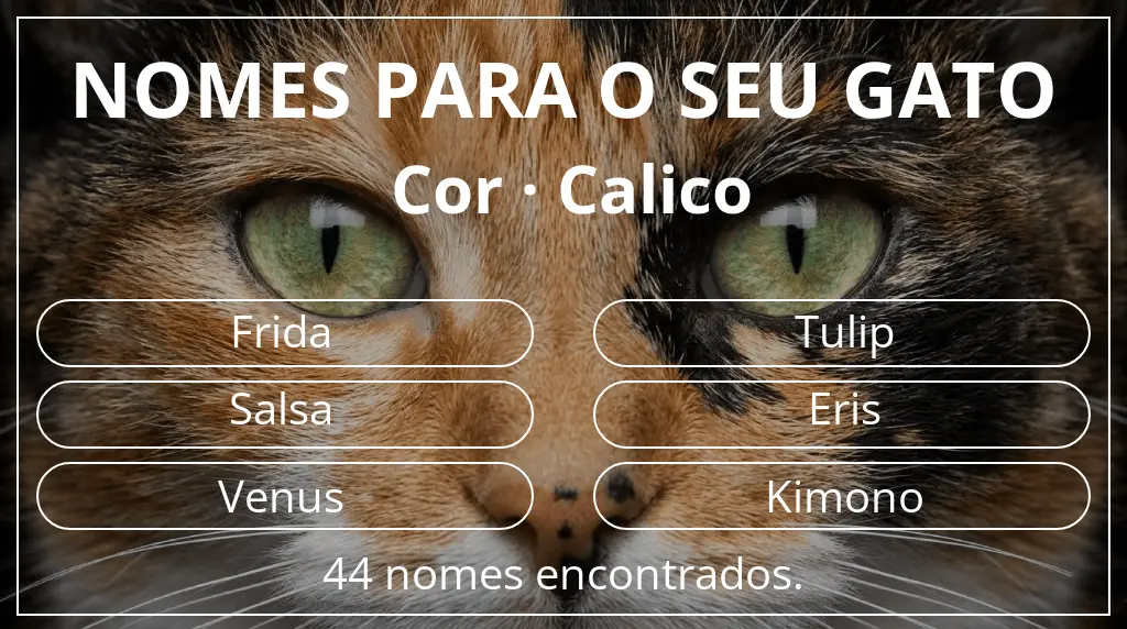 Nomes de gatos baseados em cor calico