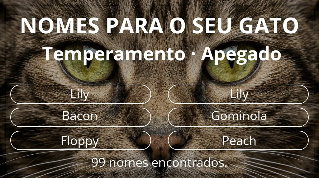Nomes felinos com inspiração em temperamento apegado