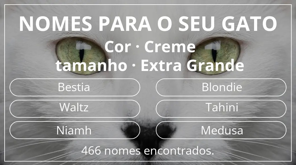 Nomes de gatos baseados em cor creme e tamanho extra grande