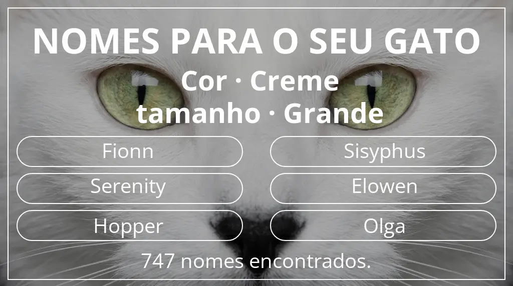 Nomes de gatos relacionados com cor creme e tamanho grande