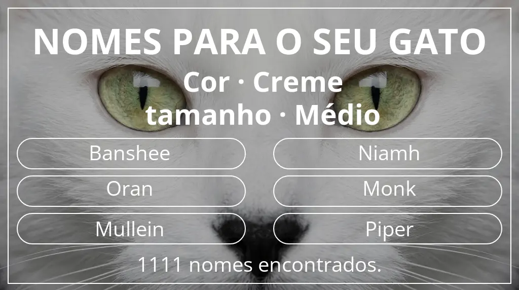 Nomes felinos baseados em cor creme e tamanho médio