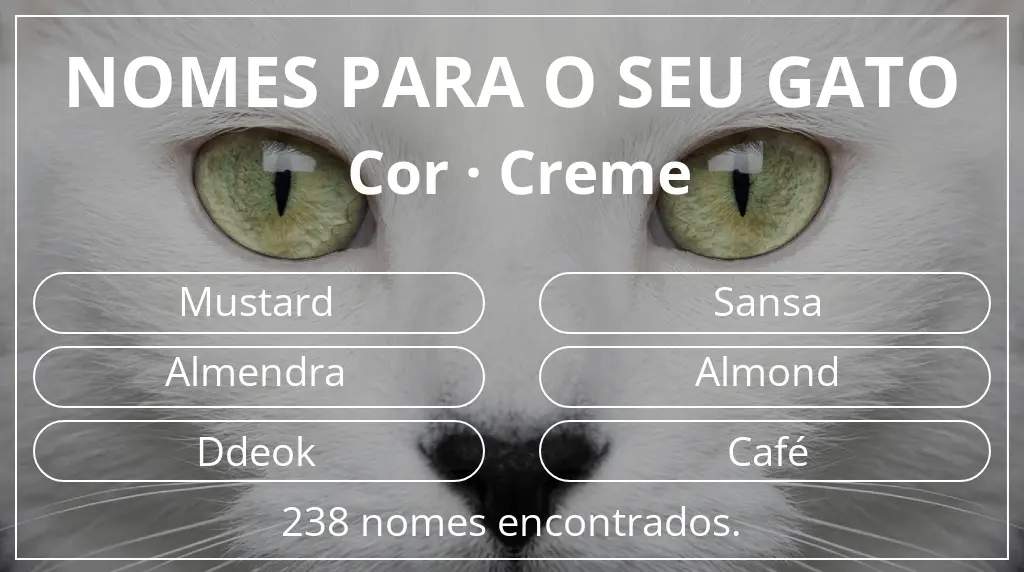 Nomes felinos com inspiração em cor creme