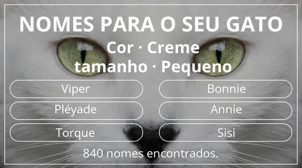 Nomes de gatos com inspiração em cor creme e tamanho pequeno