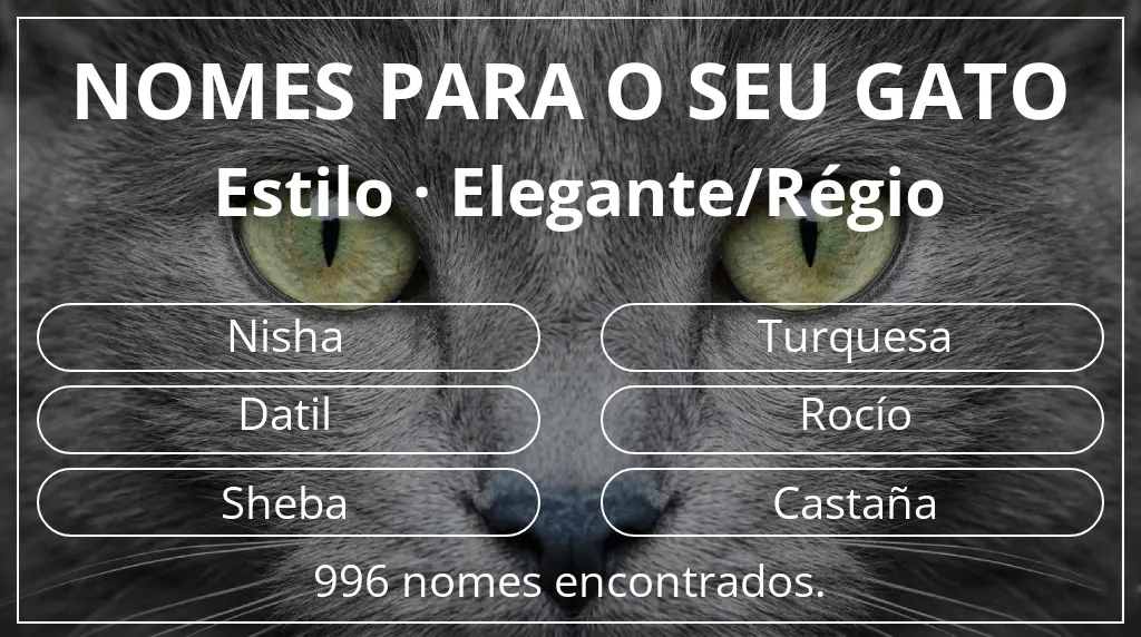 Nomes felinos com inspiração em estilo elegante/régio