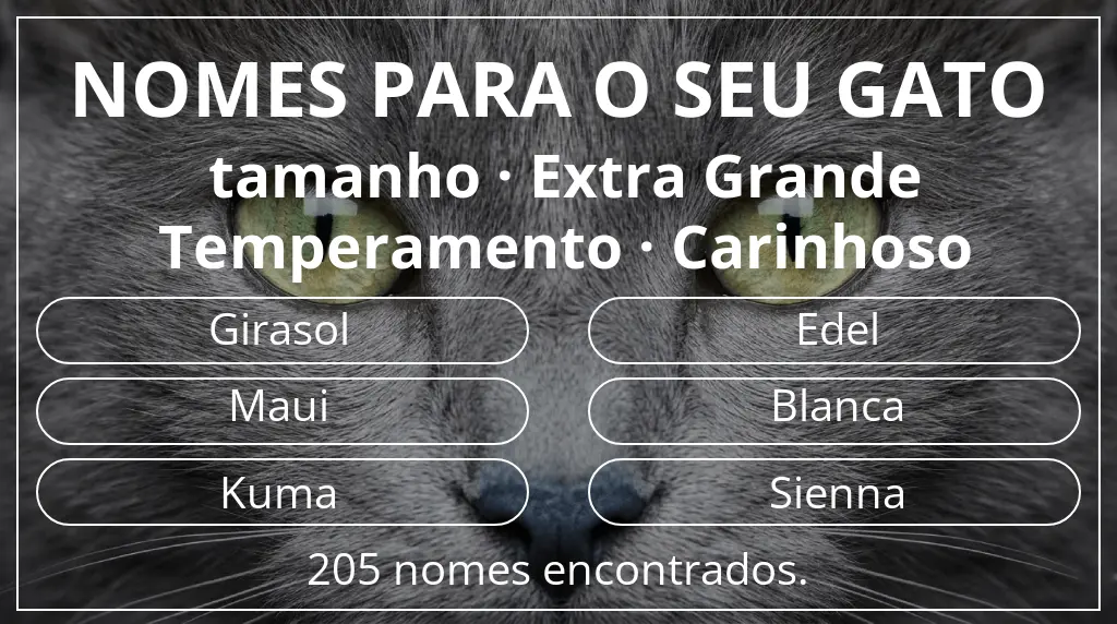 Nomes para gatos com inspiração em tamanho extra grande e temperamento carinhoso
