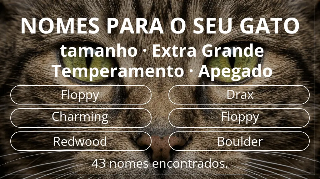 Nomes de gatos baseados em tamanho extra grande e temperamento apegado