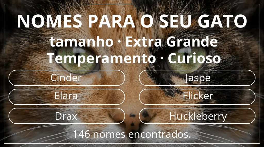 Nomes de gatos baseados em tamanho extra grande e temperamento curioso