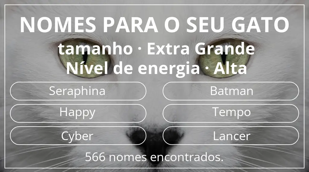 Nomes de gatos relacionados com tamanho extra grande e nível de energia alta