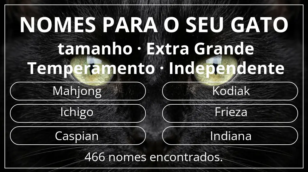 Nomes felinos com inspiração em tamanho extra grande e temperamento independente