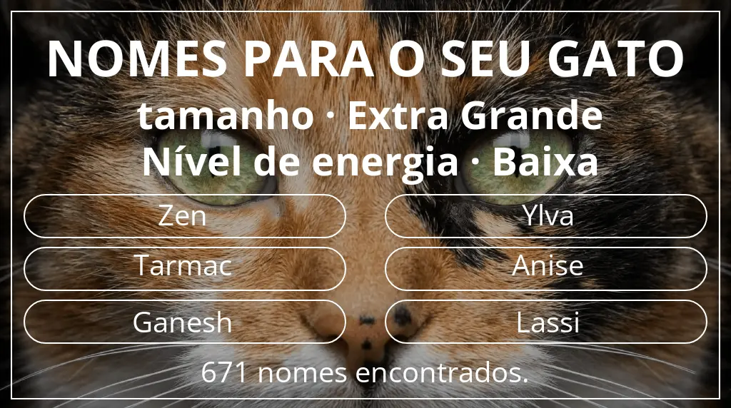 Nomes de gatos com inspiração em tamanho extra grande e nível de energia baixa