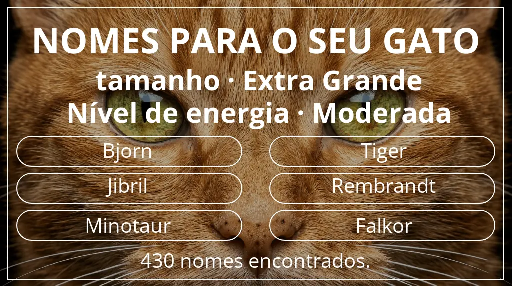 Nomes de gatos relacionados com tamanho extra grande e nível de energia moderada