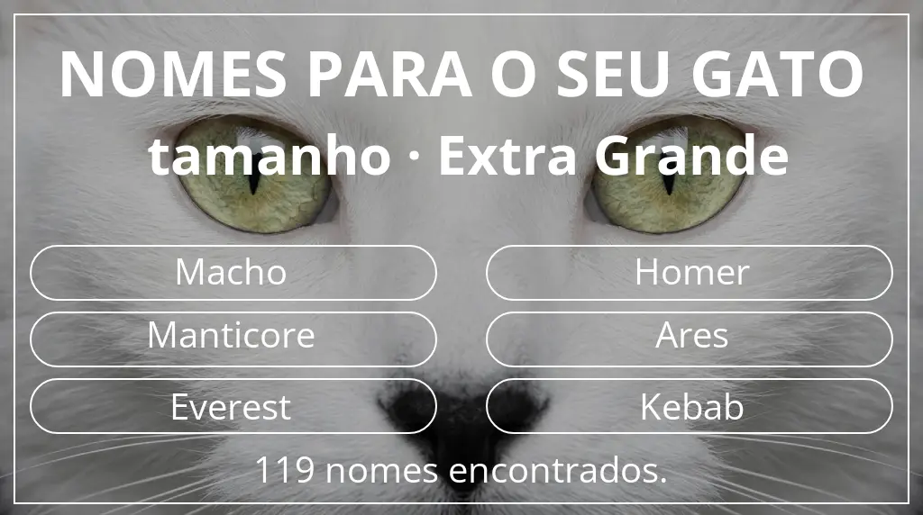Nomes para gatos baseados em tamanho extra grande