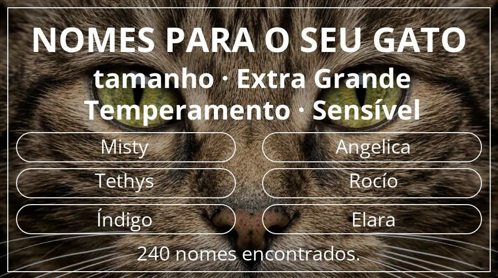 Nomes felinos relacionados com tamanho extra grande e temperamento sensível