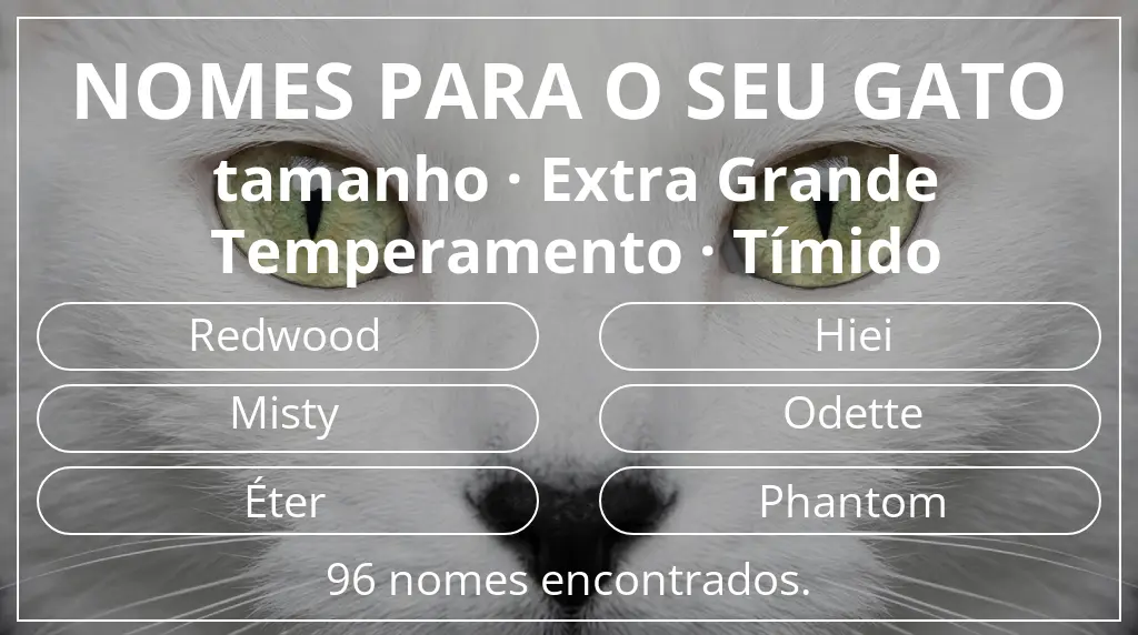 Nomes para gatos relacionados com tamanho extra grande e temperamento tímido