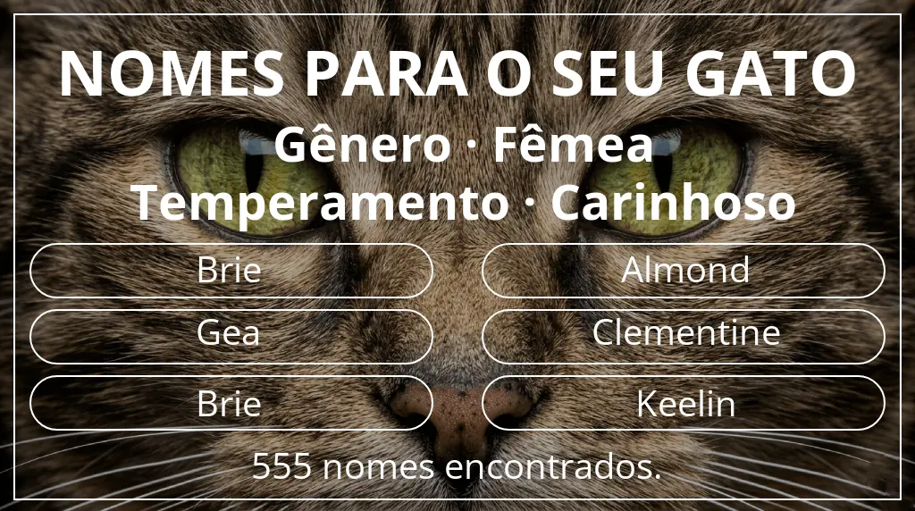 Nomes de gatos relacionados com gênero fêmea e temperamento carinhoso