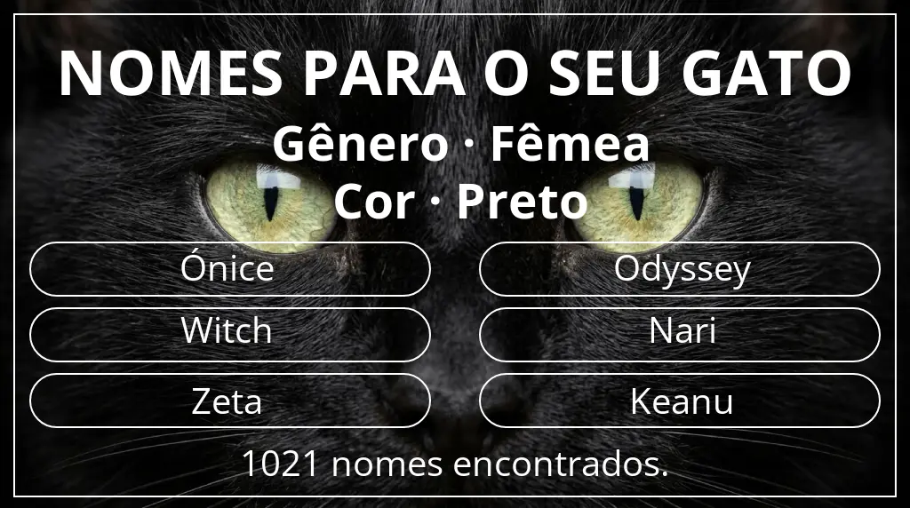 Nomes para gatos relacionados com gênero fêmea e cor preto