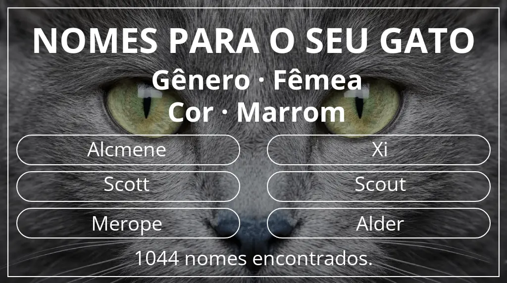 Nomes para gatos com inspiração em gênero fêmea e cor marrom