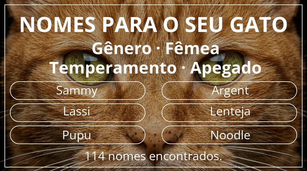Nomes de gatos baseados em gênero fêmea e temperamento apegado