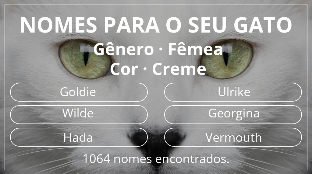 Nomes para gatos baseados em gênero fêmea e cor creme