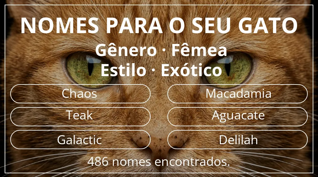 Nomes para gatos relacionados com gênero fêmea e estilo exótico