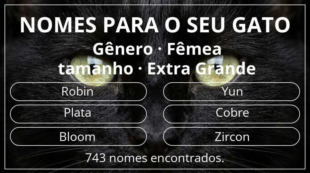 Nomes de gatos com inspiração em gênero fêmea e tamanho extra grande