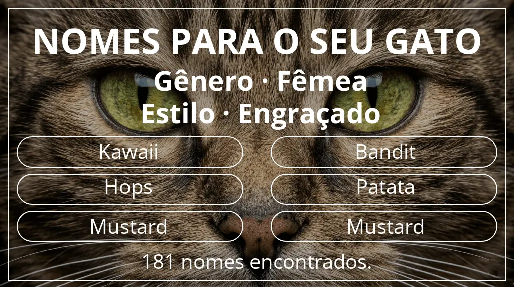 Nomes de gatos relacionados com gênero fêmea e estilo engraçado