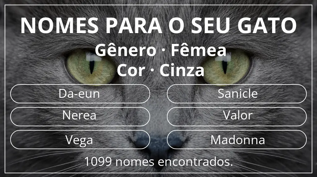 Nomes para gatos com inspiração em gênero fêmea e cor cinza