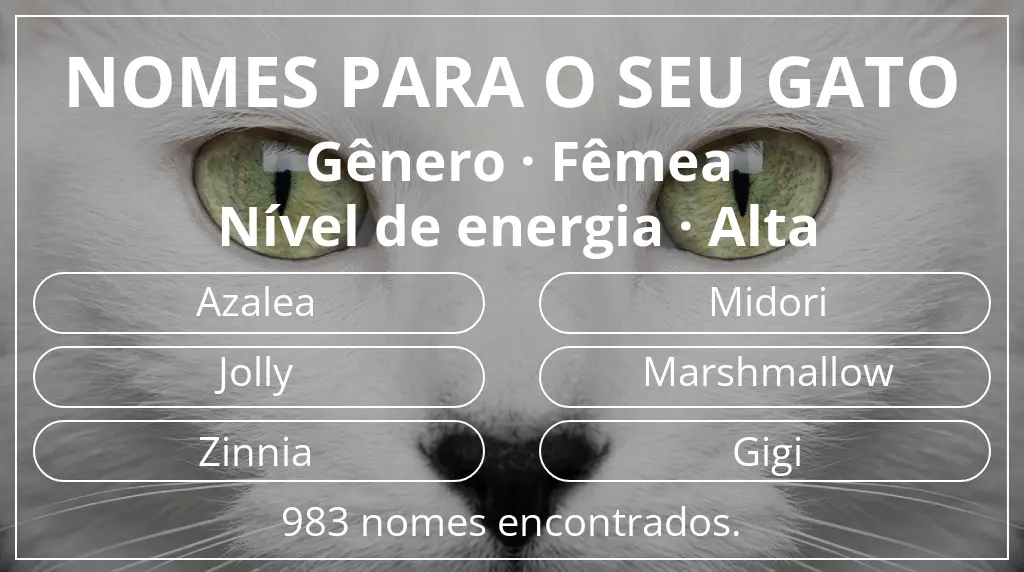 Nomes felinos relacionados com gênero fêmea e nível de energia alta