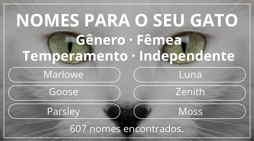 Nomes de gatos com inspiração em gênero fêmea e temperamento independente