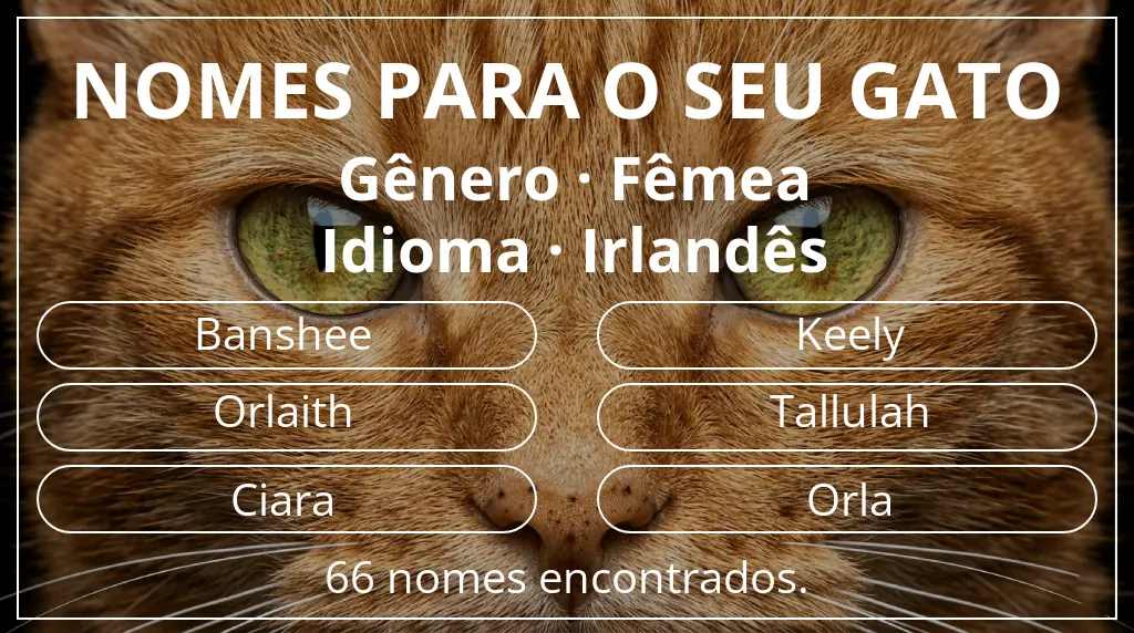 Nomes felinos com inspiração em gênero fêmea e idioma irlandês