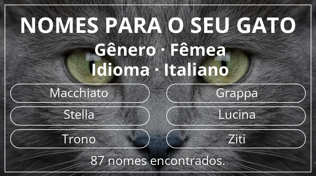Nomes felinos relacionados com gênero fêmea e idioma italiano