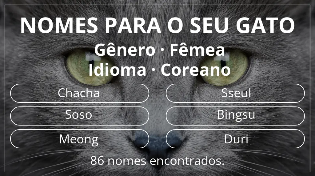 Nomes de gatos com inspiração em gênero fêmea e idioma coreano