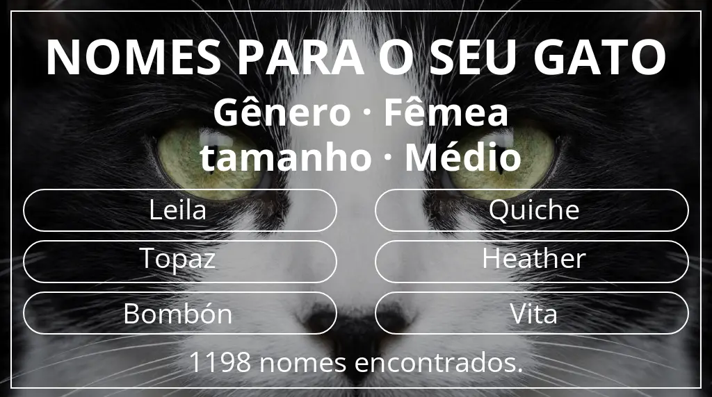 Nomes felinos relacionados com gênero fêmea e tamanho médio