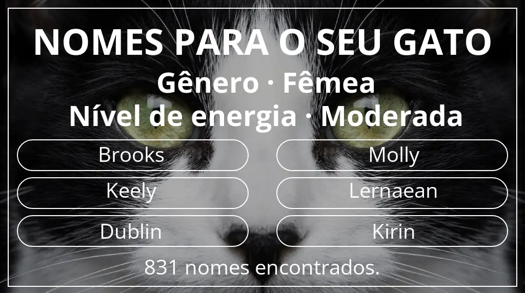 Nomes para gatos com inspiração em gênero fêmea e nível de energia moderada