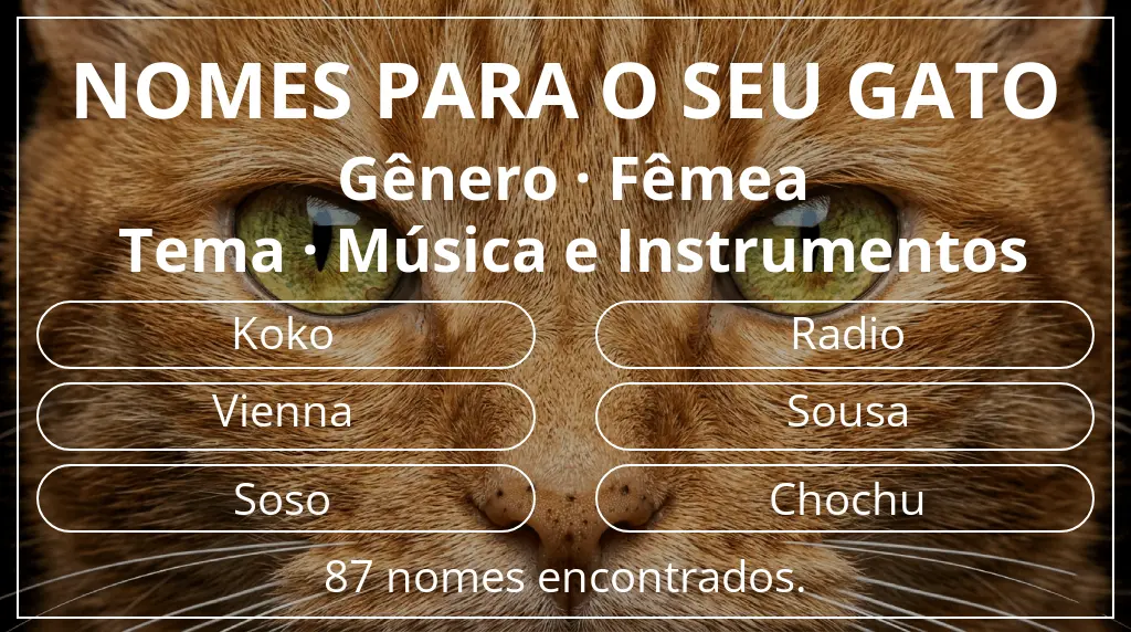 Nomes de gatos baseados em gênero fêmea e tema música e instrumentos