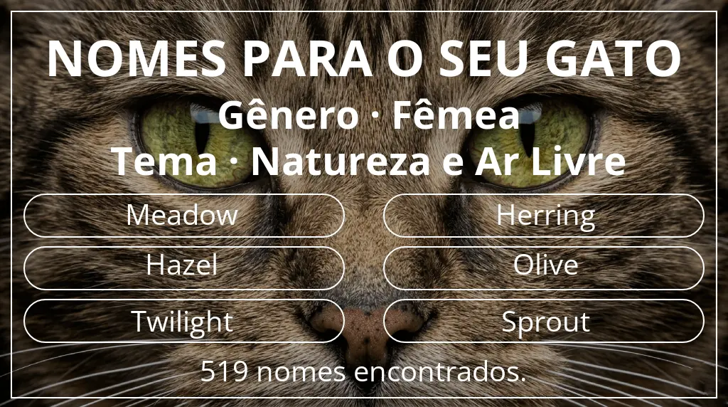 Nomes para gatos com inspiração em gênero fêmea e tema natureza e ar livre